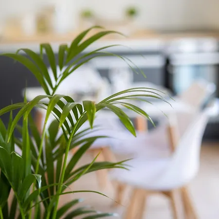 Apartamento Horizon Oasis #1 *