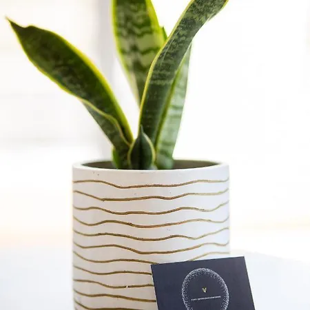 Lejlighed Horizon Oasis #1 Volos